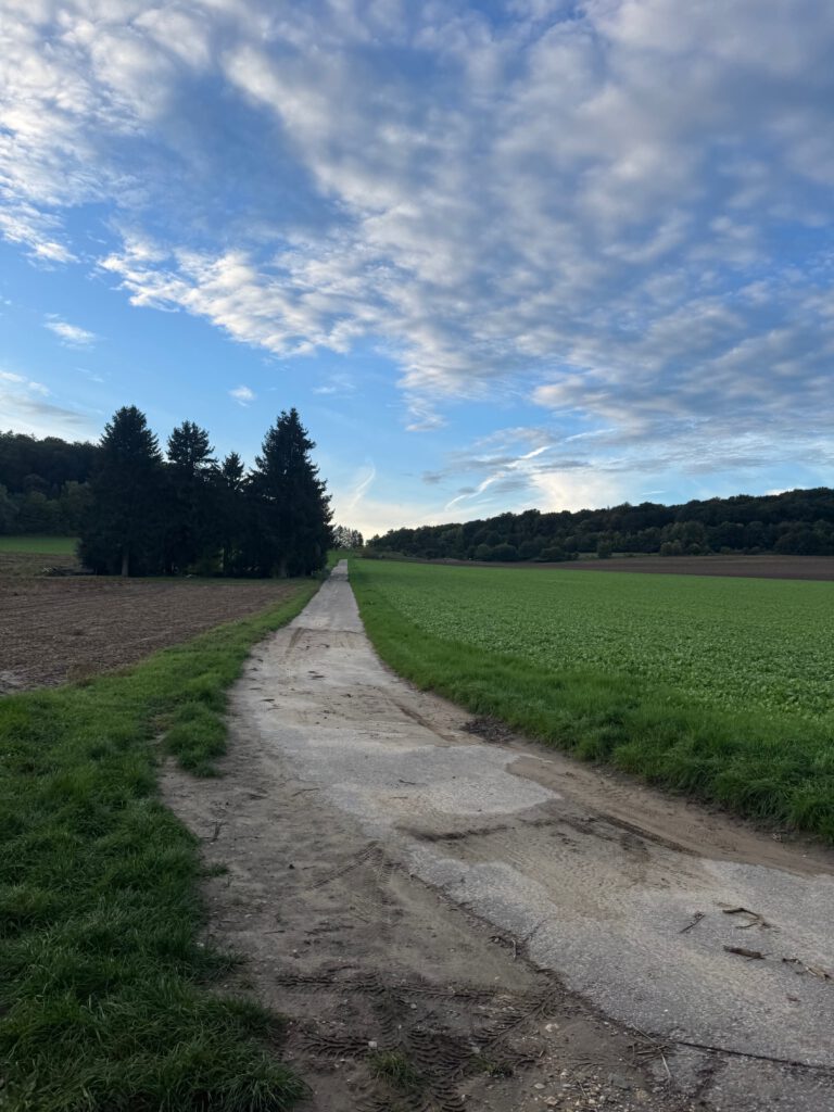 Blick nach oben